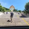 胡主