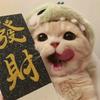欢萝卜🐣