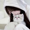 小凌拾源记yuji
