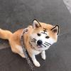 林深时见兔