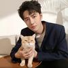 王一博OnlyForYIBO