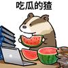 猹言猹语的小丸