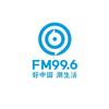民生996