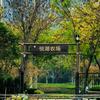 悦湖农场