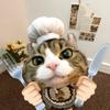 养猪日记