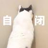 无本123