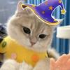 是金金总会发光的☀️（魔法小猫版）