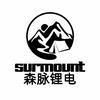 森脉锂电