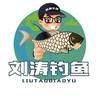 慌都不慌刘涛