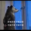 想个名字