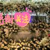 花开小镇店铺11