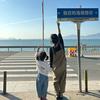韩老师聊英文