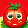 一颗大番茄