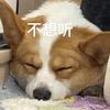 我不爱吃苦瓜炒蛋