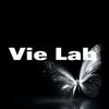 VieLab