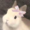 日没一霎