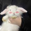 两只小兔子🐰