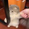 睡睡说二次元