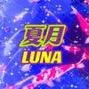 夏月LUNA塔罗