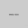 本述BNSU SDO