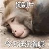 拾块钱