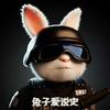 兔子爱说史