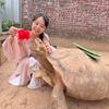 小熊的乡村养龟日常