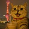 ʚʕ̯•͡˔•̯᷅ʔɞ番茄炒地蛋