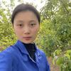 小袁聊农业