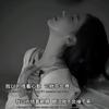 冰凌蔷薇（不聊天，不私信）