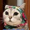 小to猫崽子