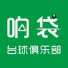 响袋台球俱乐部