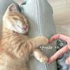 南医🐑学长