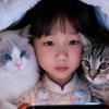 小懒猫