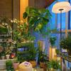 绿艺植物园