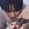 ……🐱🥨