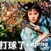 羽毛球爱好者