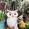 猫头鹰追剧