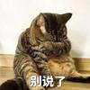 蜜蜂蜜