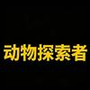 动物探索者