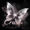 Crush•风