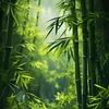 竹林潭影