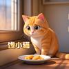 馋小猫😻