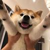 记得放糖嗷zz