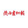 陕西农村网