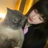 猫猫间谍大人