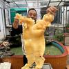 勇叔深海食材