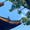 大展宏图  戏曲号