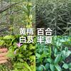黔药匠