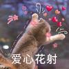 桑烟雨-个人摄影